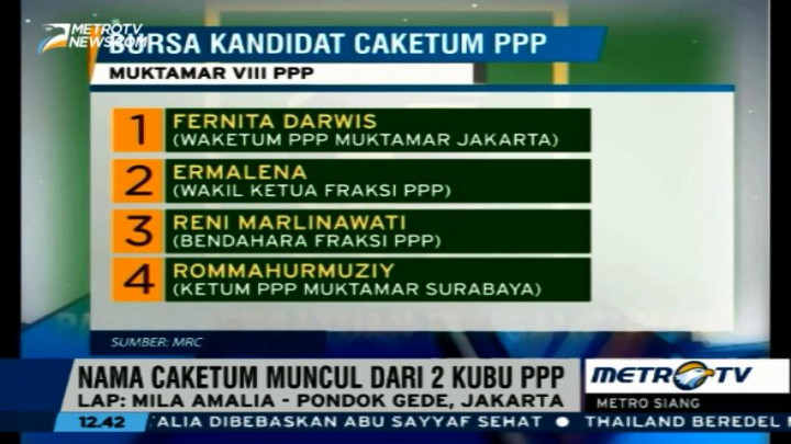 Ini Delapan Nama Kandidat Caketum PPP