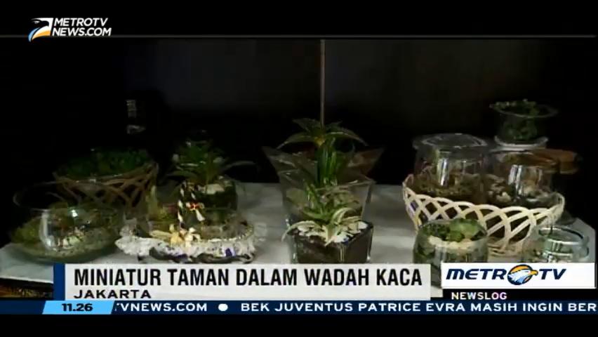 Terarium, Miniatur Taman dalam Wadah Kaca