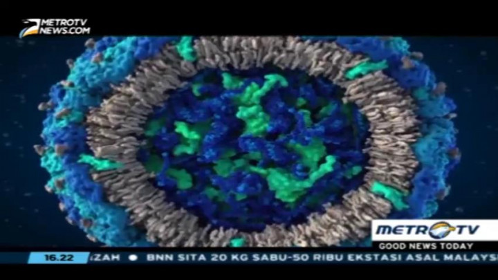 Melihat Gambar 3D Virus Zika