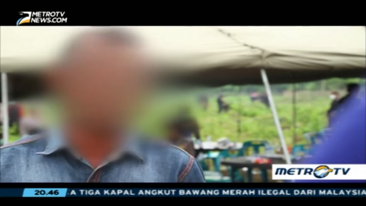 Pengakuan Mantan Petani Ganja di Aceh