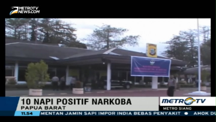 Tes Urine, Sepuluh Napi di Lapas Manokwari Positif Narkoba