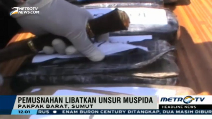 Polres Pakpak Barat Musnahkan 13,8 Kg Ganja Kering