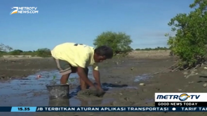 Mario Marthen Terinathe, Penyelamat Hutan Bakau di Waingapu