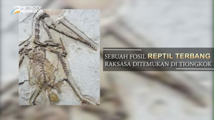 Pada Hari Ini: Fosil Burung Raksasa Zaman Purba Ditemukan