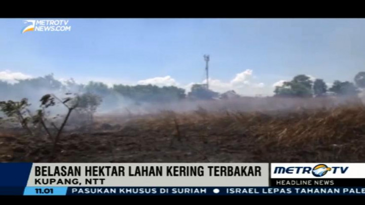 Belasan Hektare Lahan Kering di Kupang Terbakar
