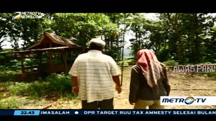 Tumpuk Pundi dari Pupuk Palsu (2)