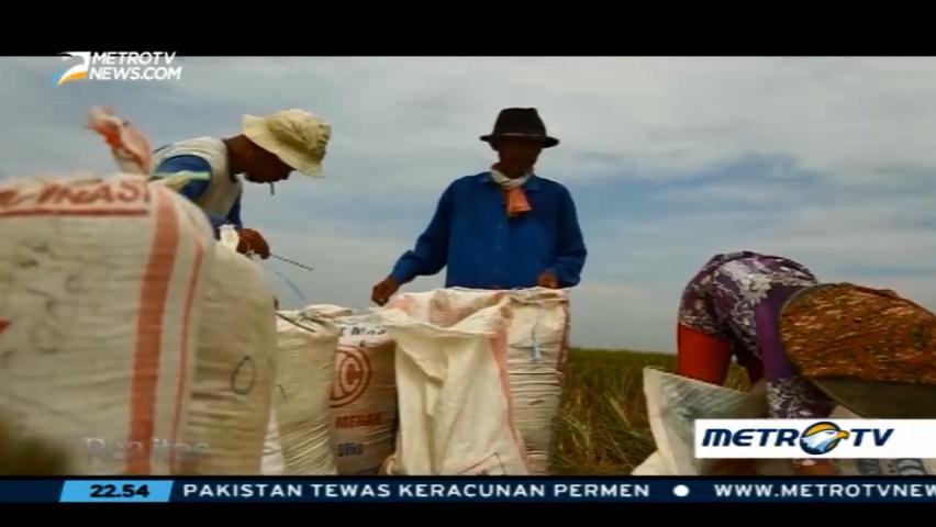 Tumpuk Pundi dari Pupuk Palsu (3)