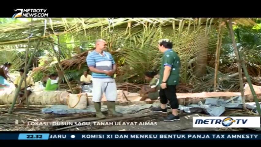 Melihat Proses Panen Sagu Masyarakat Papua