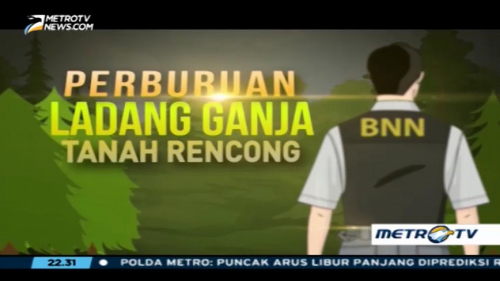 Perburuan Ladang Ganja Tanah Rencong (1)