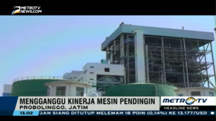 Mesin PLTU Paiton Masih Rusak Akibat Ubur-ubur