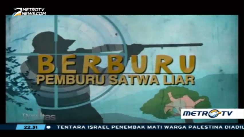 Berburu Pemburu Satwa Liar (1)