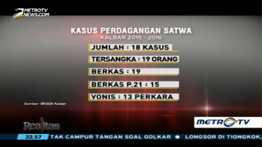 Berburu Pemburu Satwa Liar (3)