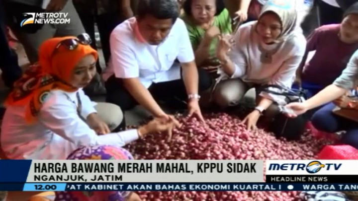 KPPU Desak Bulog Beli Bawang Merah dari Petani