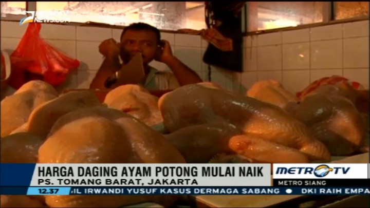 Harga Daging Ayam Mulai Naik