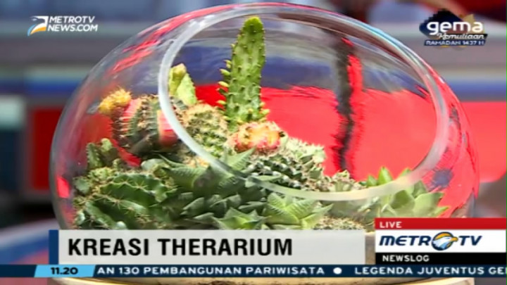 Mengenal Kreasi Terarium