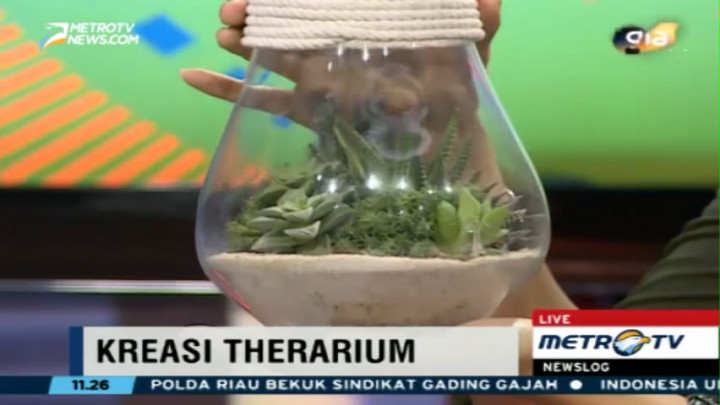 Cara Membuat Terarium