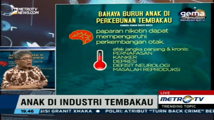 Bahaya Buruh Anak di Perkebunan Tembakau