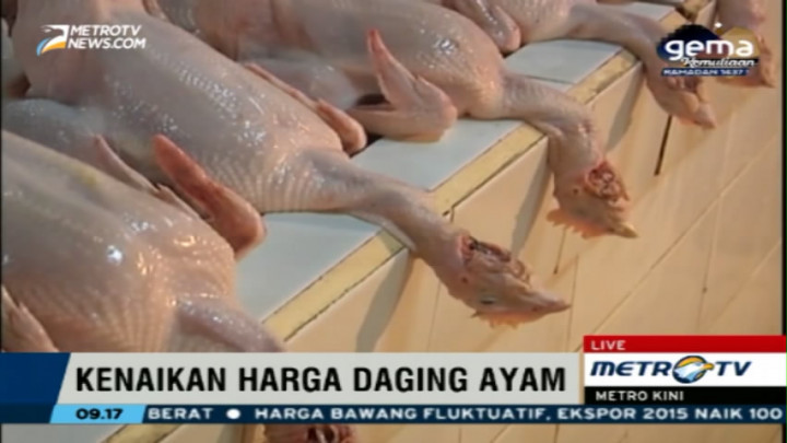 Waspada Daging Ayam Kadaluarsa!