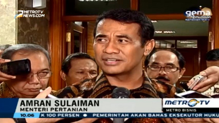 Mentan Pastikan Stok Bawang Merah Cukup