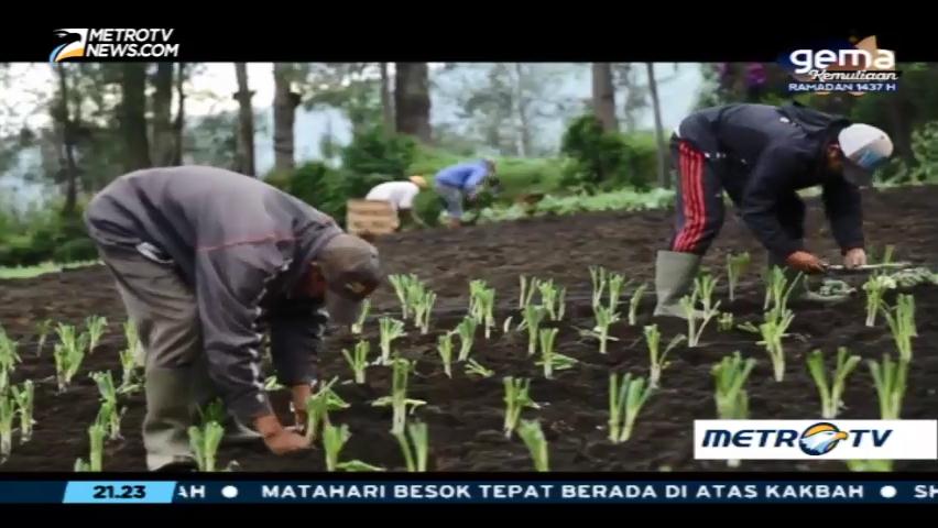 Di Balik Kaldera Tengger (3)