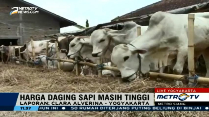 Harga Daging Mahal, Warga Kulon Progo Beralih ke Ikan