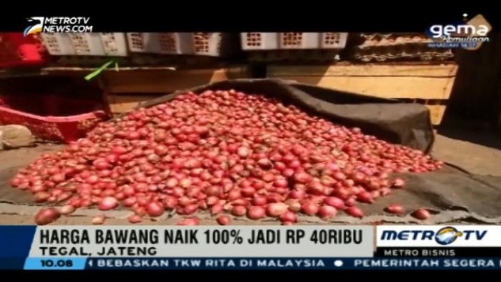 Harga Bawang Merah di Sumba Timur Tembus Rp38 Ribu/Kg