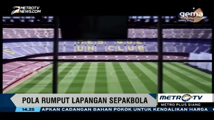 Pola Rumput Lapangan Sepakbola