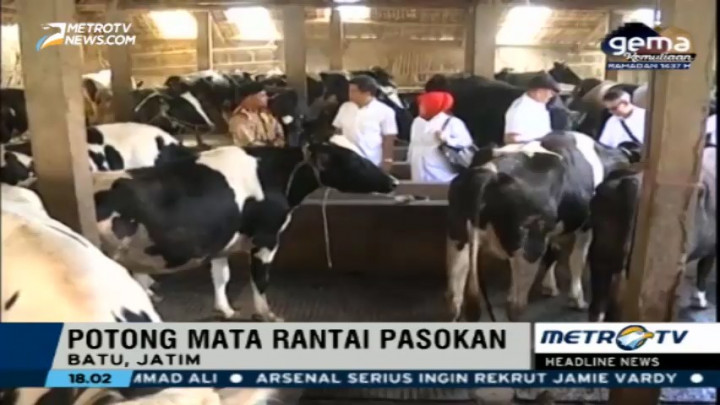 KPPU Sidang Sejumlah Peternakan Sapi di Batu