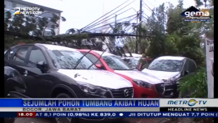 Hujan Deras, Sejumlah Pohon Tumbang Menimpa Showroom Mobil