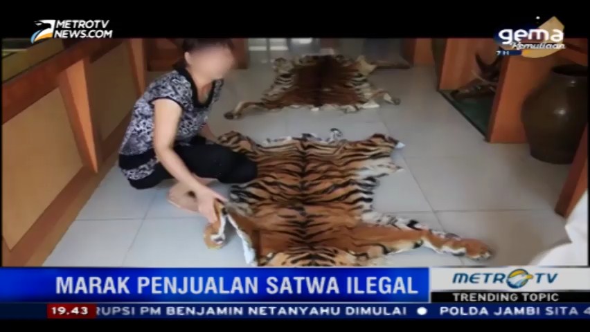 Maraknya Penjualan Satwa Ilegal