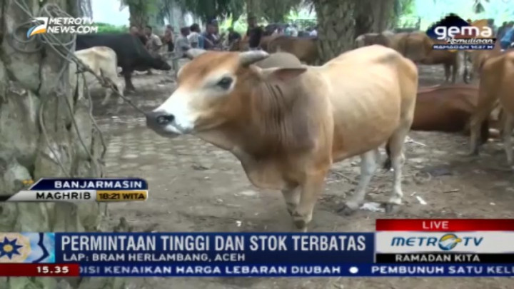 Pantauan Harga Daging Sapi di Aceh
