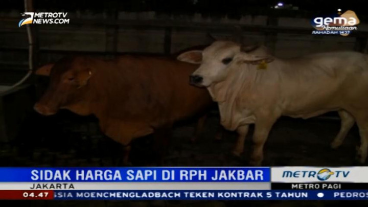 KPPU Sidak Harga Daging Sapi di RPH Jakarta Barat