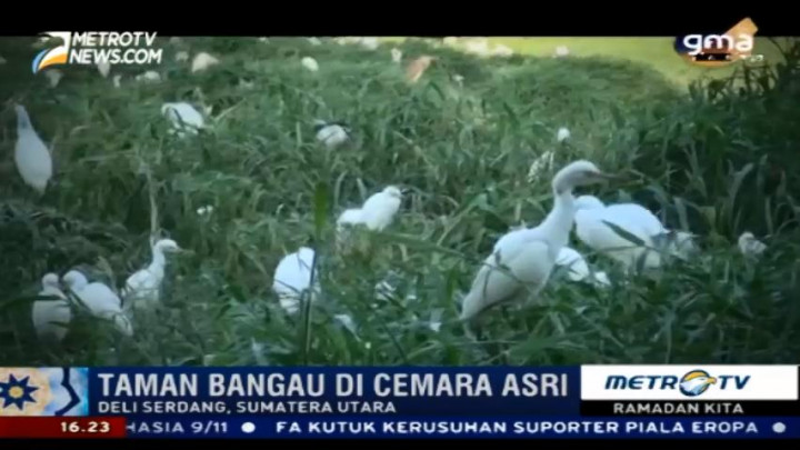 Cemara Asri, Wisata Ngabuburit di Deli Serdang