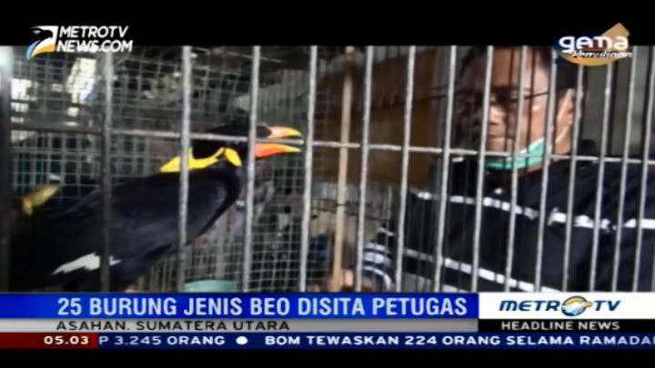 Petugas BKSDA Sita Puluhan Ekor Burung Dilindungi