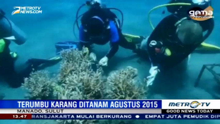 Pasukan Marinir Tinjau Pertumbuhan Terumbu Karang di Pantai Malalayang