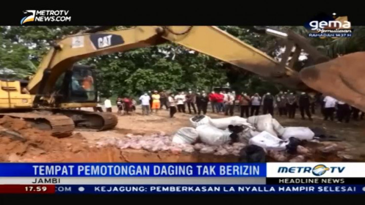 Pemkot Jambi Musnahkan 4 Ton Daging Babi Ilegal