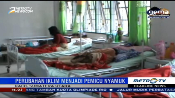 Jumlah Kasus Penderita DBD di Dairi Mengkhawatirkan