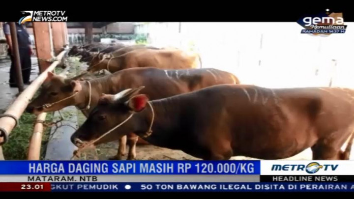 Tim Polda NTB Sidak Rumah Pemotongan Hewan