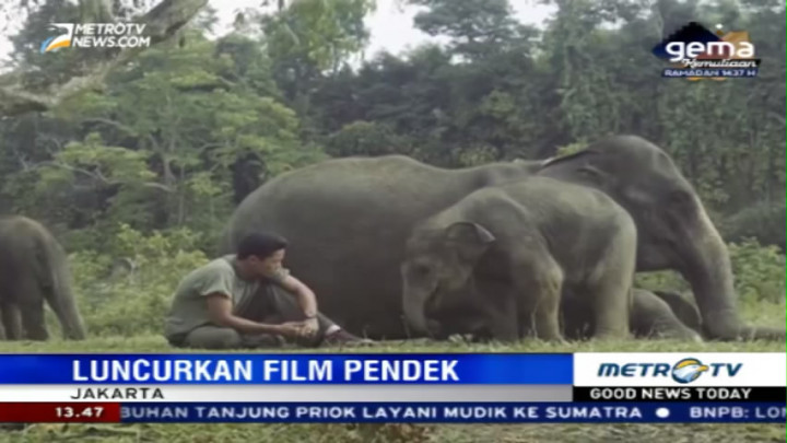 Film Pendek Kampanye Selamatkan Gajah
