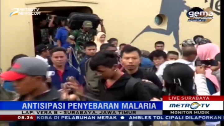 Petugas Pelabuhan Tanjung Perak Antisipasi Penyebaran Malaria