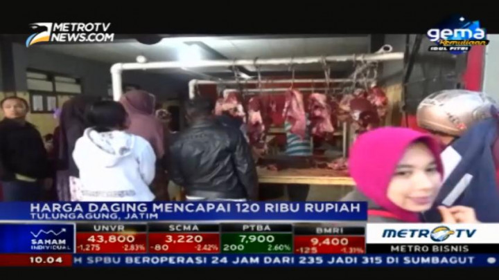 Harga Daging Sapi Masih Tinggi