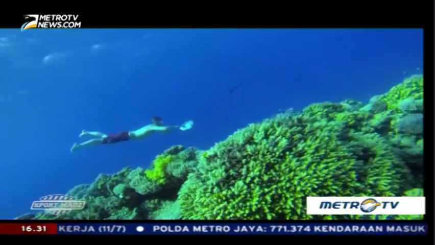 Terbang Dalam Air dengan Subwing