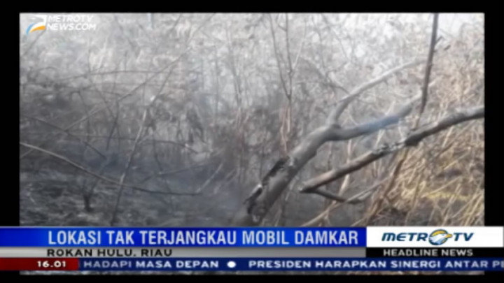 70 Hektare Lahan Warga Rokan Hulu Terbakar