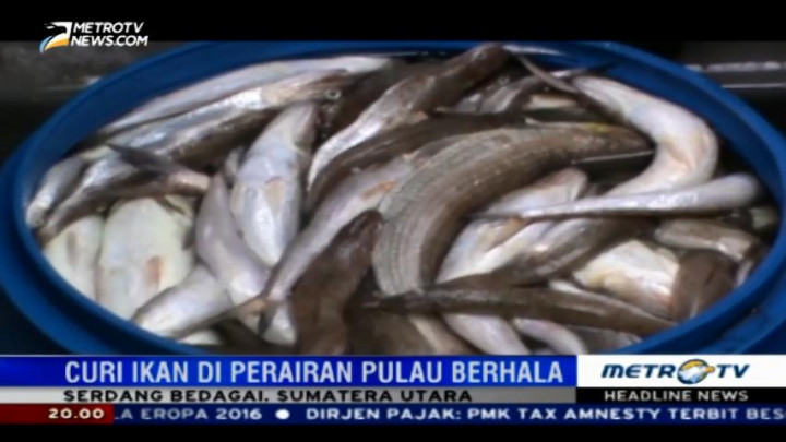 Curi Lima Ton Ikan, Kapal Asal Malaysia Ditangkap