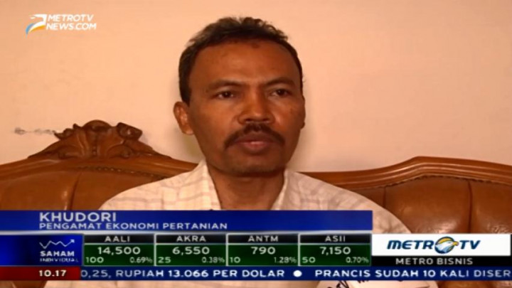 Impor Daging Kerbau Dikhawatirkan Membuat Peternak Merugi