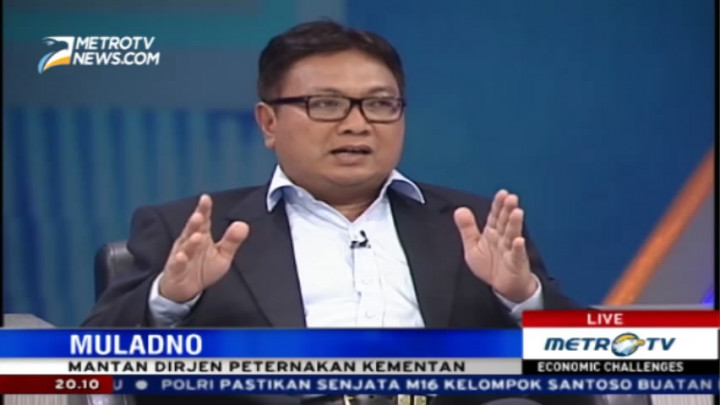 Tugas Kementan Tingkatkan Budidaya, Bukan Impor
