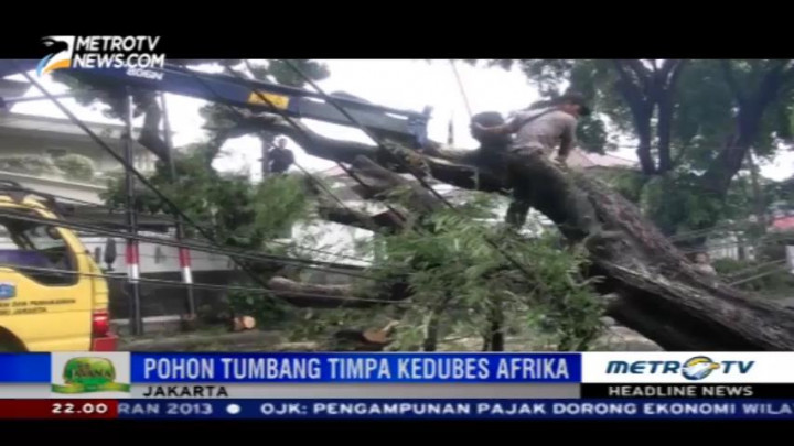 Pohon Tumbang Timpa Kantor Kedubes Afrika Selatan di Menteng