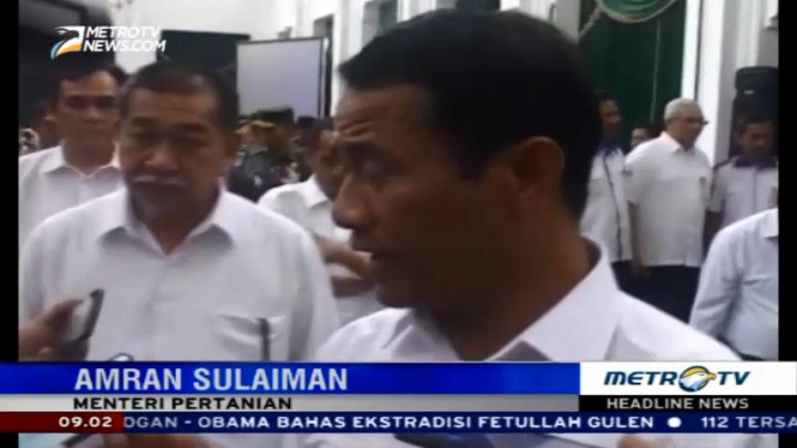 Mentan Tetap akan Impor Jeroan