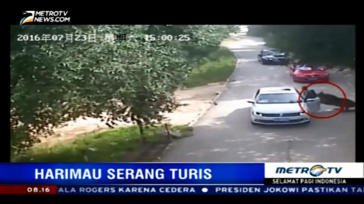 Seorang Wanita Tewas Diserang Harimau di Kebun Binatang Beijing