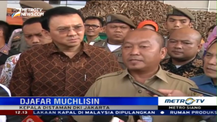 Distaman DKI Telah Temukan 230 Makam Fiktif